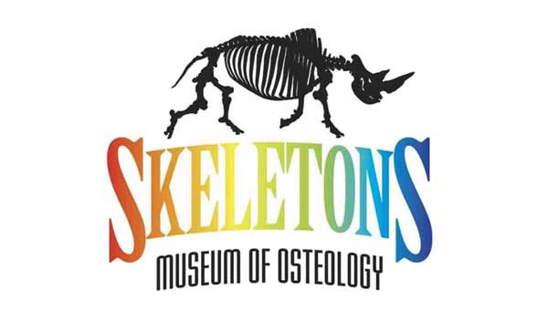 Skeletons museum of osteology.