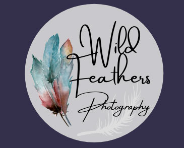Wild Feathers Photography.