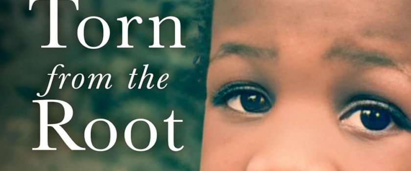 Torn from the Root: A Memoir of a Black Transracial Adoptee by Rhonda M. Roorda