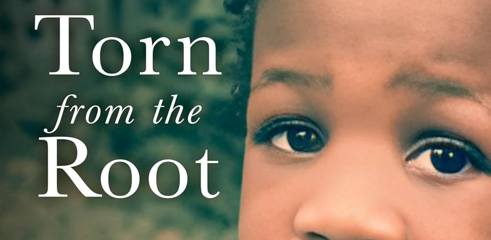 Torn from the Root: A Memoir of a Black Transracial Adoptee by Rhonda M. Roorda