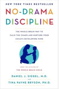 Book cover for No Drama Discipline