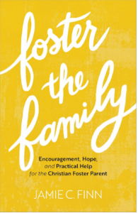 Book cover for Foster the Family