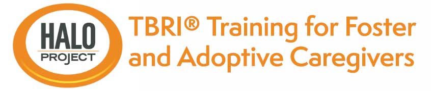 Logo or image for TBRI® Training for Foster and Adoptive Caregivers